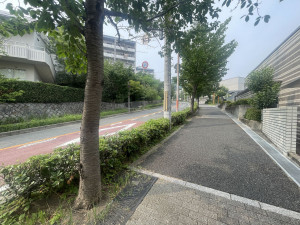 池田市五月丘、マンションの画像です