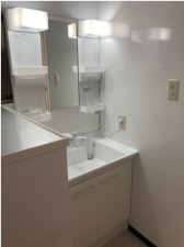 東大阪市東石切町、中古一戸建ての洗面画像です