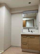 東大阪市西石切町、マンションの洗面画像です
