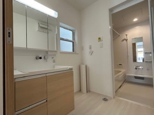 東大阪市北石切町、新築一戸建ての洗面画像です