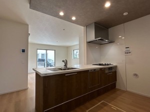 東大阪市東石切町、新築一戸建てのキッチン画像です