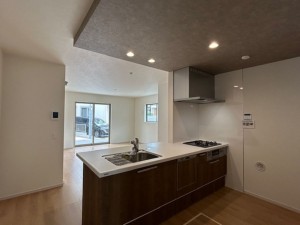 東大阪市東石切町、新築一戸建てのキッチン画像です