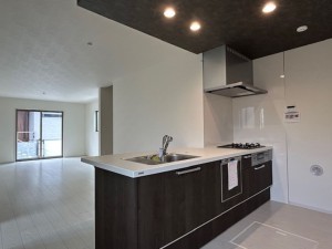 東大阪市東石切町、新築一戸建ての画像です