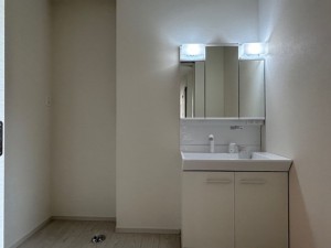 東大阪市東石切町、新築一戸建ての画像です