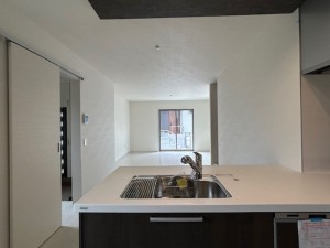 東大阪市東石切町、新築一戸建ての画像です