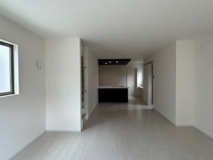 東大阪市東石切町、新築一戸建ての画像です