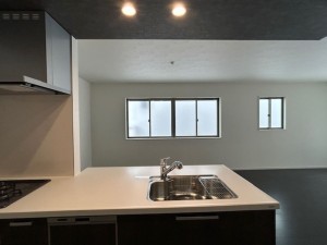 東大阪市東石切町、新築一戸建てのキッチン画像です