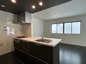 東大阪市東石切町、新築一戸建てのキッチン画像です