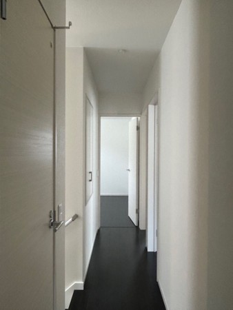 東大阪市東石切町、新築一戸建ての画像です