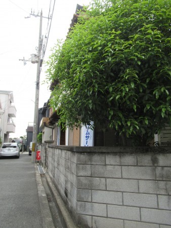東大阪市東石切町、中古一戸建ての前面道路を含む現地写真画像です