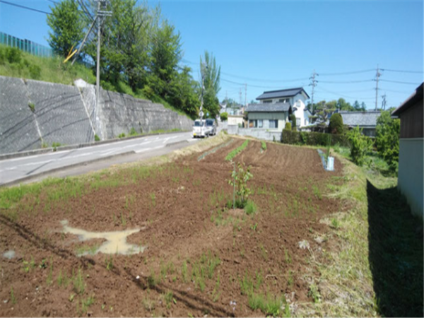 佐久市望月、土地の画像です