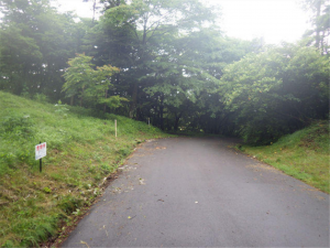 佐久市内山、土地の画像です