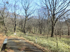 佐久市内山、土地の画像です