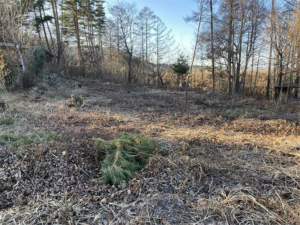 南佐久郡佐久穂町大字大日向、土地の画像です