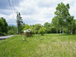 北佐久郡立科町大字芦田八ケ野、土地の画像です