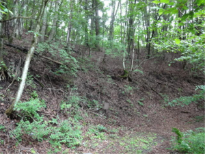 北佐久郡軽井沢町大字発地、土地の画像です