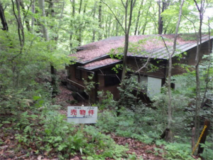 北佐久郡軽井沢町大字発地、土地の画像です