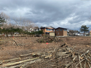 北佐久郡軽井沢町大字長倉、土地の画像です