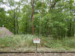 小諸市、土地の画像です