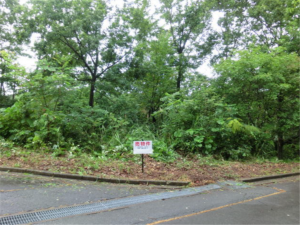 小諸市、土地の画像です