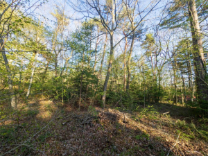 北佐久郡軽井沢町大字追分、土地の画像です