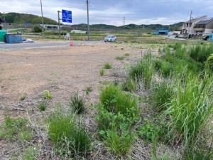 南佐久郡佐久穂町大字高野町、土地の画像です