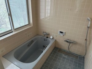 北佐久郡軽井沢町大字発地、中古一戸建ての画像です
