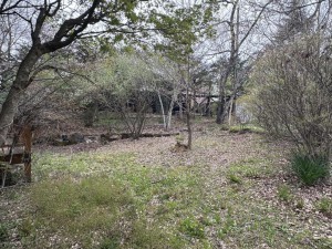 北佐久郡軽井沢町大字発地、中古一戸建ての画像です