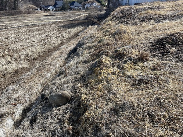 佐久市矢嶋、土地の画像です