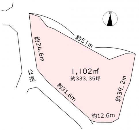 南佐久郡佐久穂町大字海瀬、土地の間取り画像です