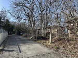 北佐久郡軽井沢町大字軽井沢、土地の画像です