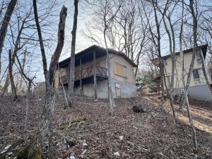 北佐久郡軽井沢町大字軽井沢、土地の画像です