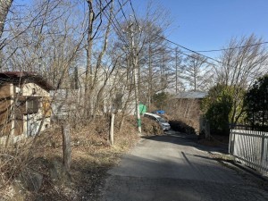 北佐久郡軽井沢町大字軽井沢、土地の画像です