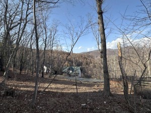北佐久郡軽井沢町大字軽井沢、土地の画像です