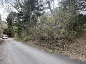 北佐久郡軽井沢町大字長倉、土地の画像です