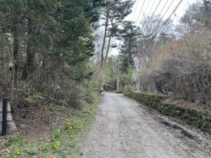 北佐久郡軽井沢町大字長倉、土地の画像です