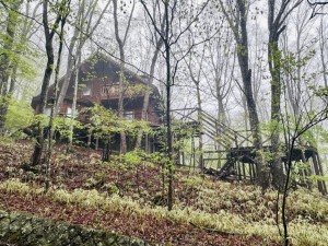 北佐久郡軽井沢町大字発地、中古一戸建ての画像です