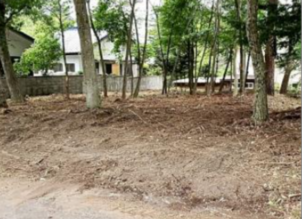 北佐久郡軽井沢町大字追分、土地の画像です