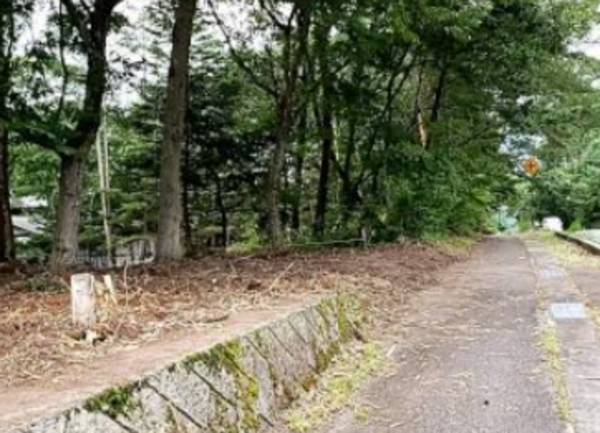 北佐久郡軽井沢町大字追分、土地の画像です