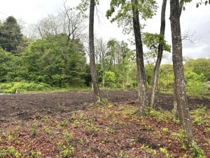 北佐久郡軽井沢町大字追分、土地の画像です