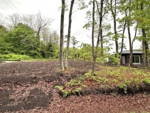 北佐久郡軽井沢町大字追分、土地の画像です