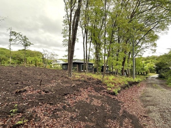 北佐久郡軽井沢町大字追分、土地の画像です