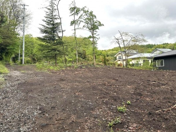 北佐久郡軽井沢町大字追分、土地の画像です