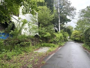 北佐久郡軽井沢町大字長倉、土地の画像です