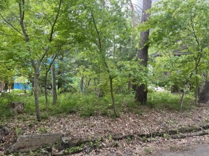 北佐久郡軽井沢町大字追分、土地の画像です