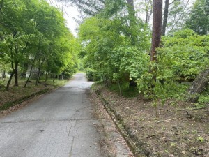 北佐久郡軽井沢町大字追分、土地の画像です