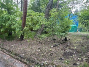 北佐久郡軽井沢町大字追分、土地の画像です