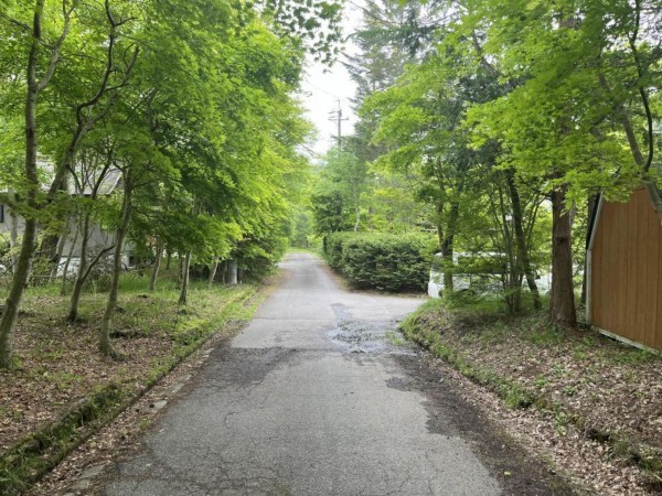 北佐久郡軽井沢町大字追分、土地の画像です