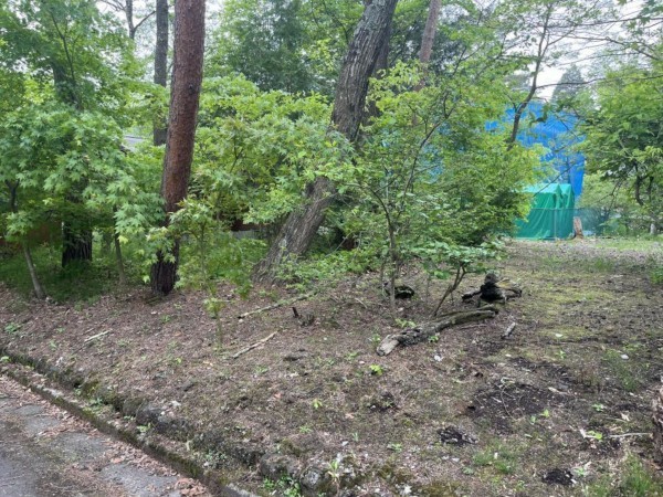 北佐久郡軽井沢町大字追分、土地の画像です