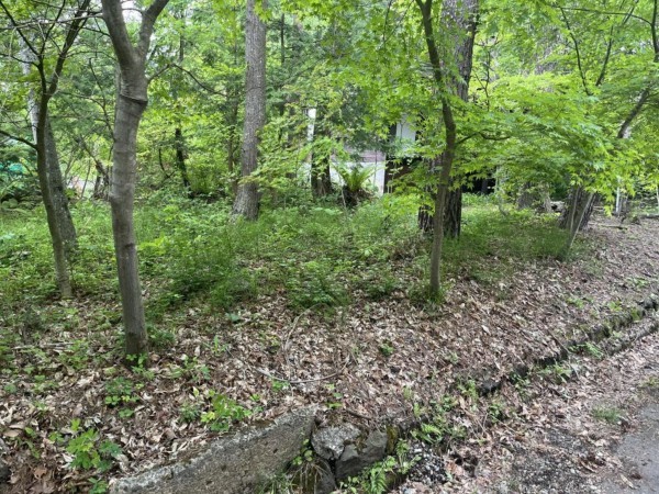北佐久郡軽井沢町大字追分、土地の画像です